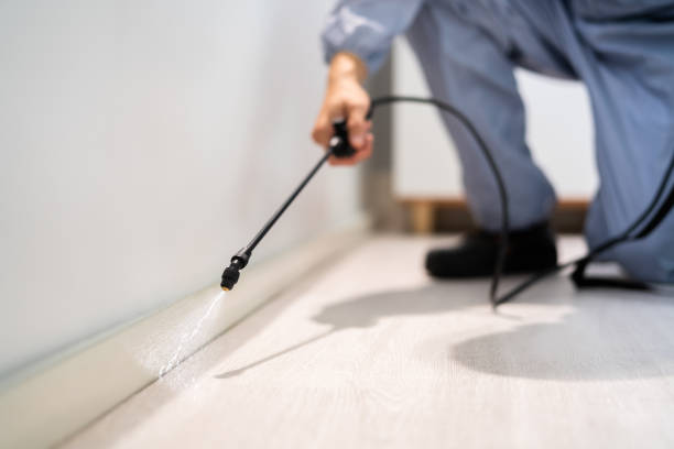 Bed Bug Pre-Treatment Preparation Assessment in Fish Hawk