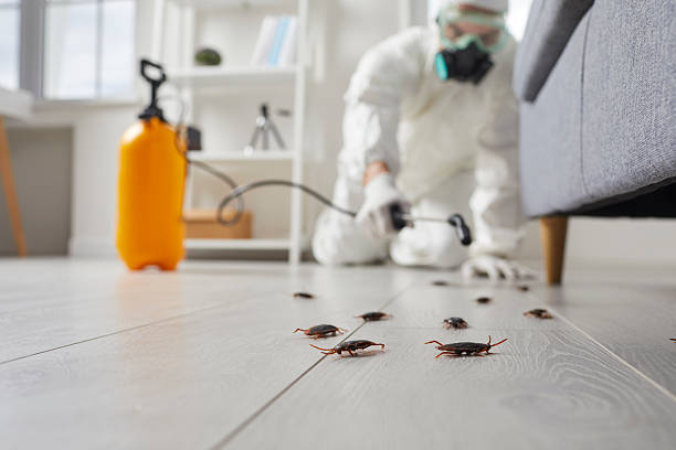 Post-Treatment Bed Bug Interceptor Monitoring in Fish Hawk
